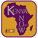 Kenya Now Organization