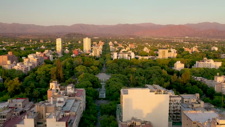 ARGETINA Mendoza City Trees.jpg