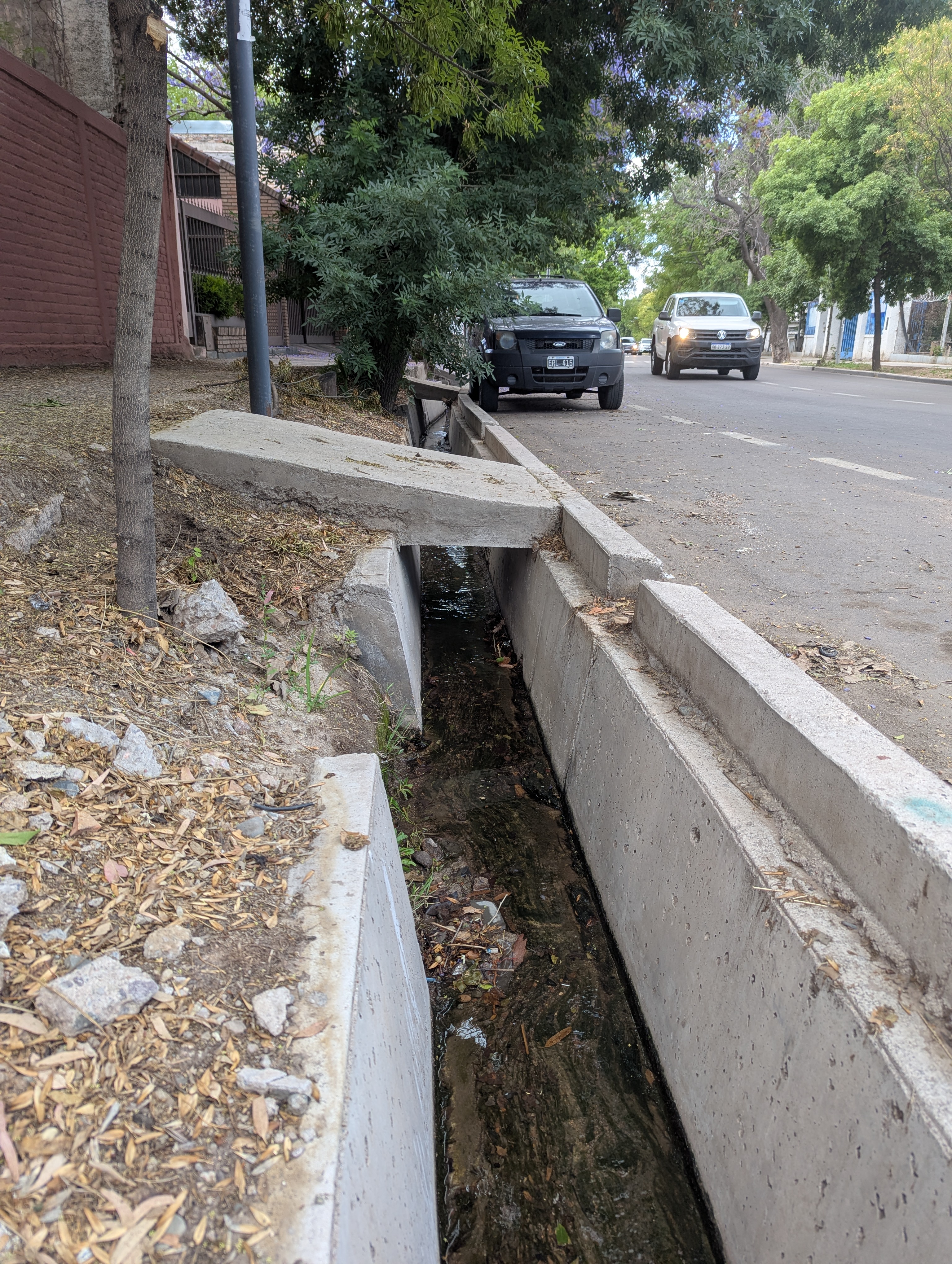 ARGENTINA Acequias 3.jpg