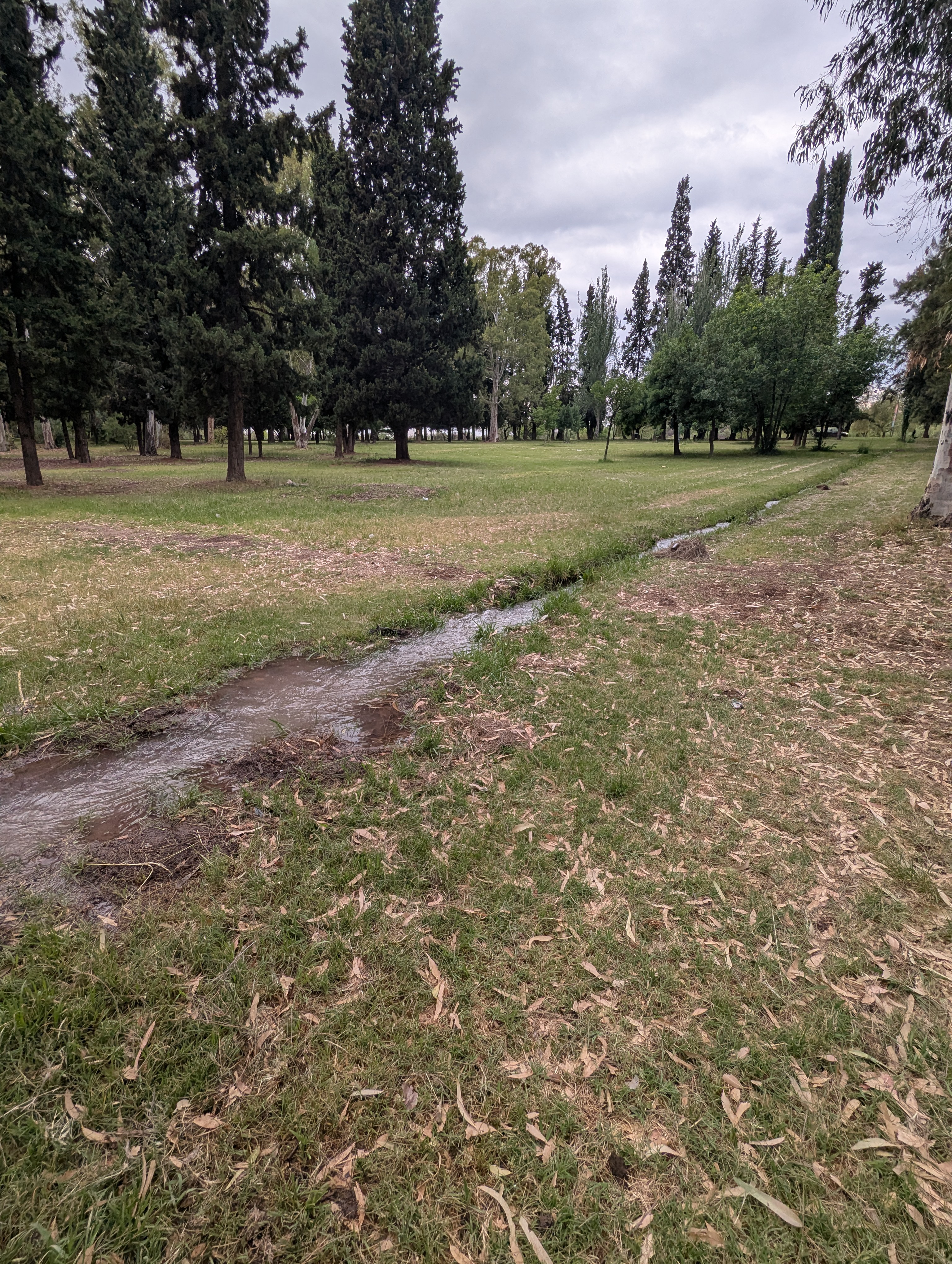 ARGENTINA Acequias 4.jpg