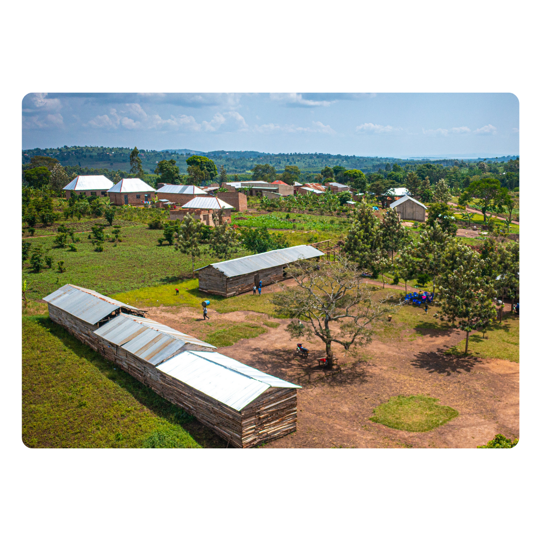 COP-Projects Click .png