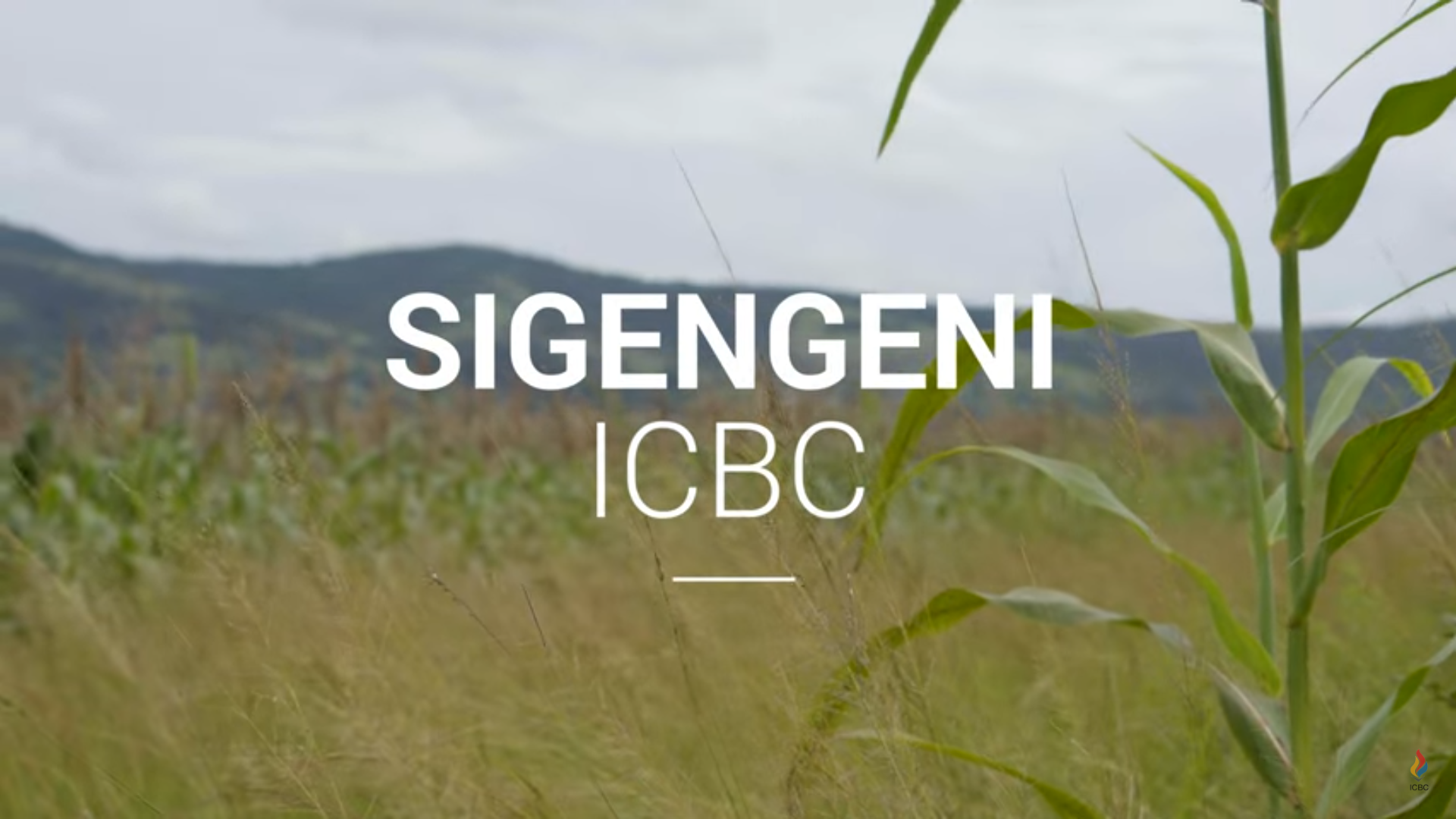 Sigengeni ICBC screenshot.png