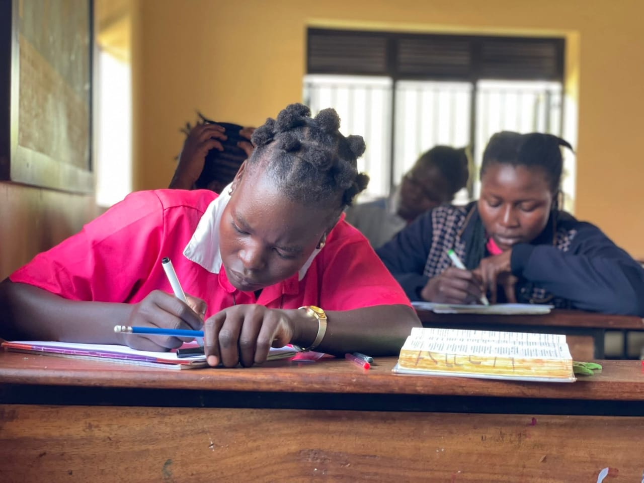 WhatsApp Image 2026-02-12 at 11.02.55.jpeg