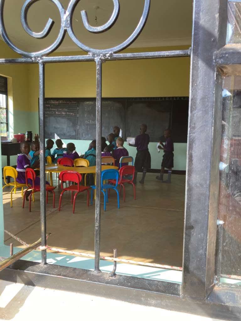 WhatsApp Image 2026-02-12 at 11.02.52.jpeg