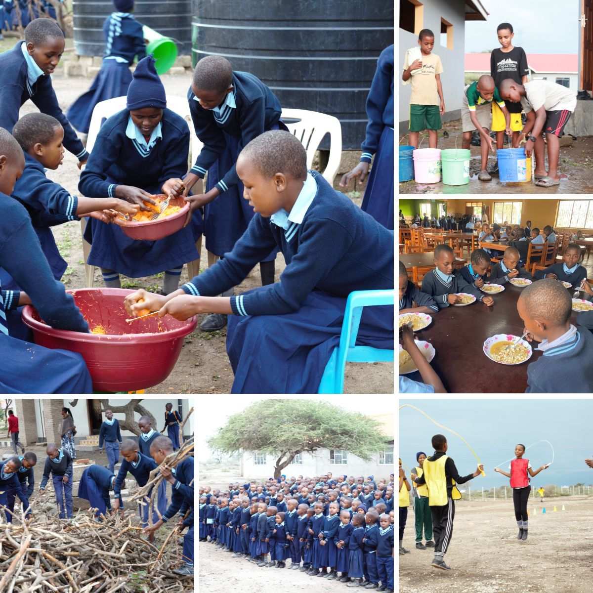 New Vision Engikaret Grid for REACH 33126.jpg