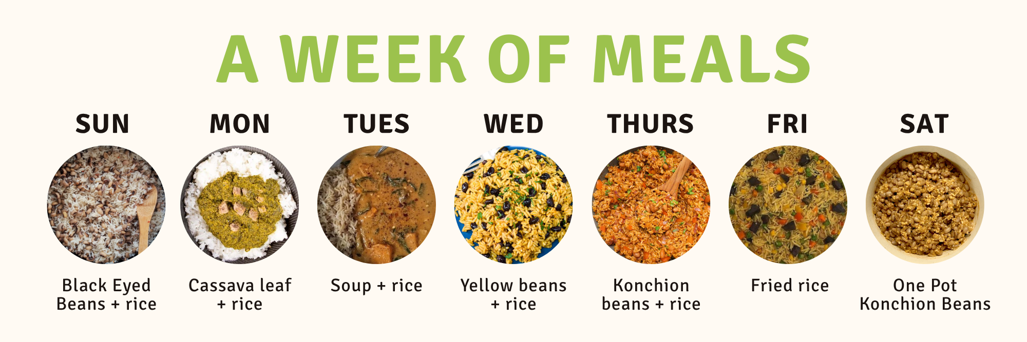1 - feeding week.png