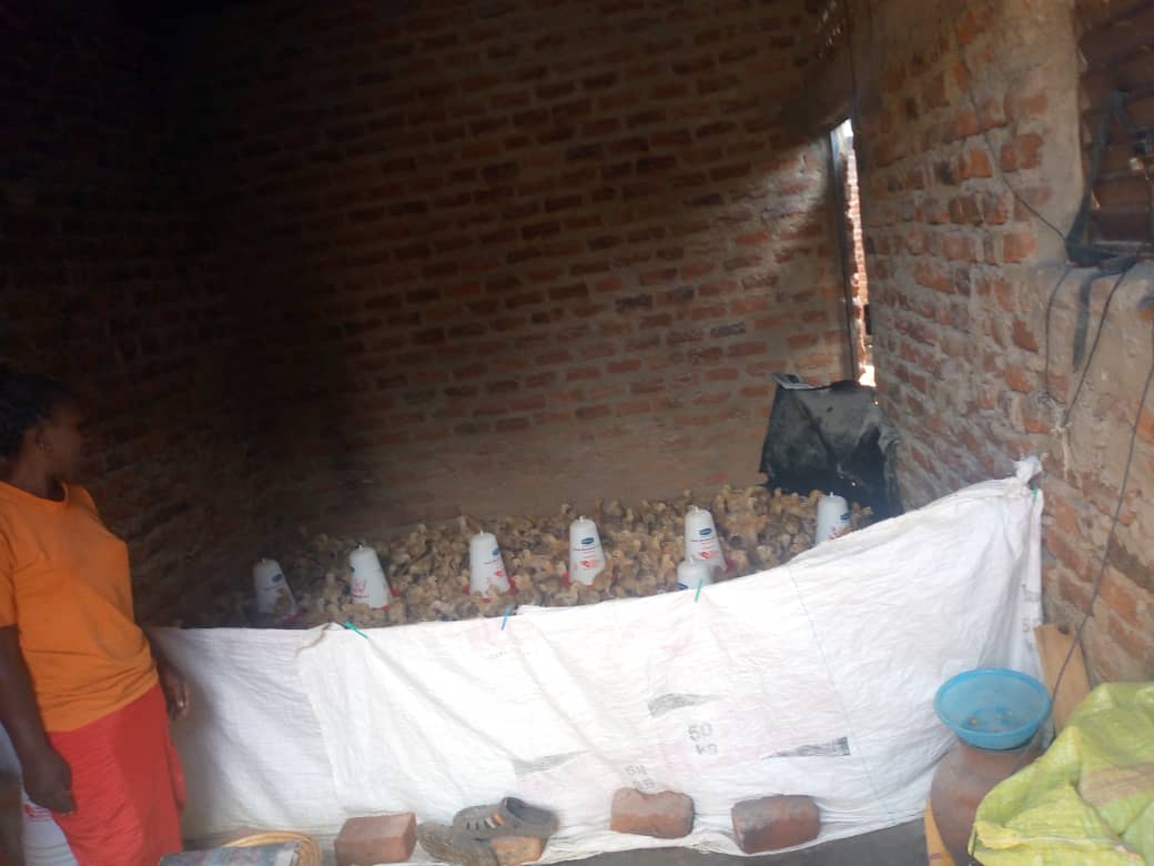 Poultry and sustainability example in RPI program