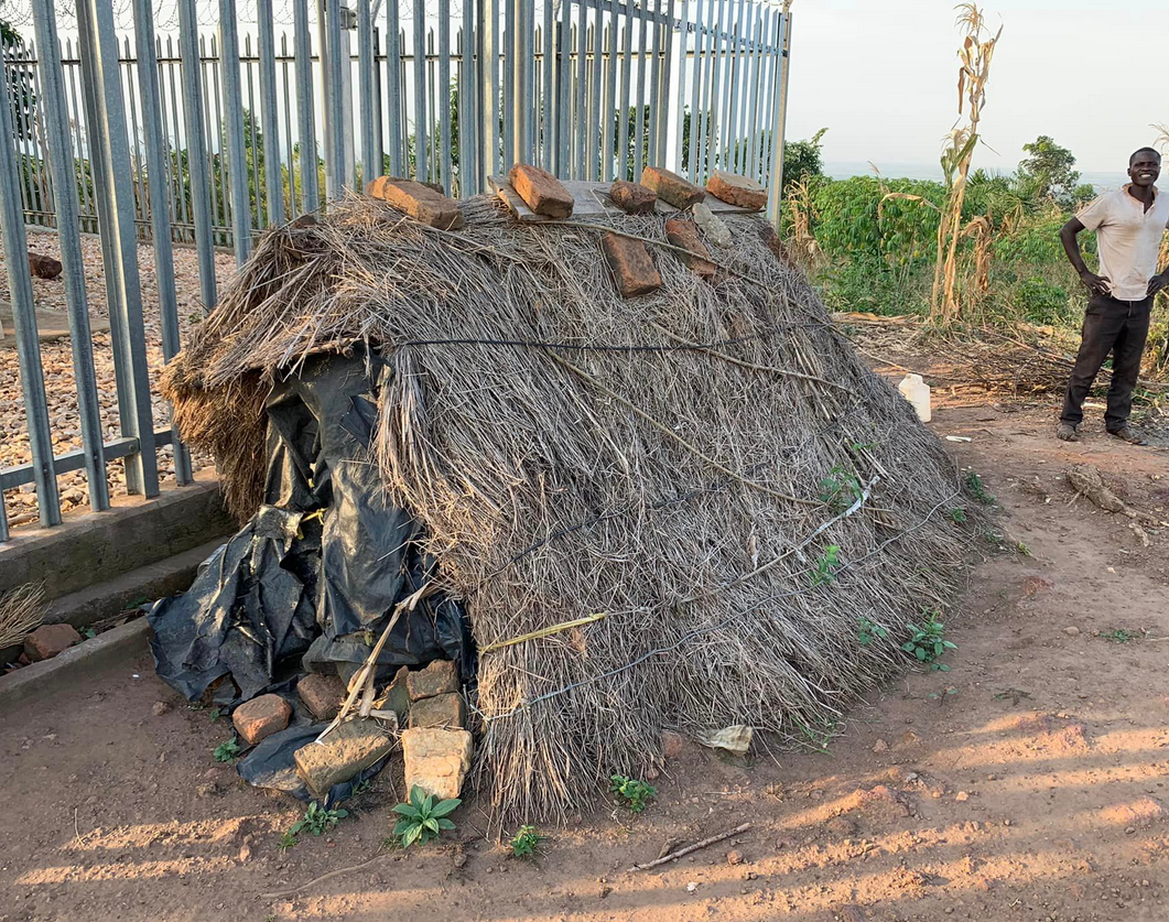 Poultry image illustrating practical sustainability work within RPI programs
