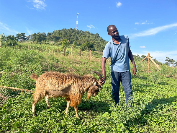 RPI goat project